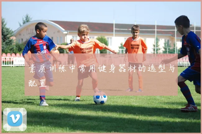 素质训练中常用健身器材的选型与配置